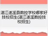 湛江遂溪县数控学校哪家好技校招生(湛江遂溪数控技校招生)