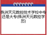 株洲天元数控技术学校中专还是大专(株洲天元数控学历)