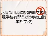 北海铁山港单招培训学校正规学校有那些(北海铁山港单招学校)