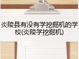 炎陵县有没有学挖掘机的学校(炎陵学挖掘机)