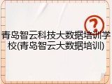 青岛智云科技大数据培训学校(青岛智云大数据培训)