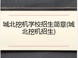城北挖机学校招生简章(城北挖机招生)