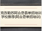 克孜勒苏阿合奇县单招培训学校推荐(阿合奇单招培训)