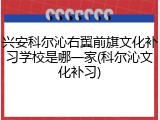 兴安科尔沁右翼前旗文化补习学校是哪一家(科尔沁文化补习)