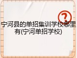 宁河县的单招集训学校哪里有(宁河单招学校)