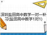 深圳盐田高中数学一对一补习(盐田高中数学1对1)