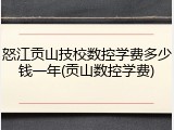 怒江贡山技校数控学费多少钱一年(贡山数控学费)