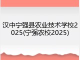 汉中宁强县农业技术学校2025(宁强农校2025)