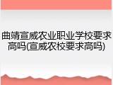 曲靖宣威农业职业学校要求高吗(宣威农校要求高吗)