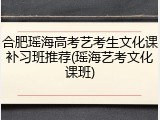 合肥瑶海高考艺考生文化课补习班推荐(瑶海艺考文化课班)