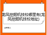 龙凤挖掘机技校哪里有(龙凤挖掘机技校地址)