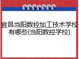 宜昌当阳数控加工技术学校有哪些(当阳数控学校)