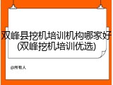 双峰县挖机培训机构哪家好(双峰挖机培训优选)