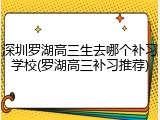 深圳罗湖高三生去哪个补习学校(罗湖高三补习推荐)