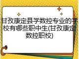 甘孜康定县学数控专业的学校有哪些职中生(甘孜康定数控职校)