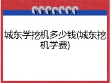 城东学挖机多少钱(城东挖机学费)