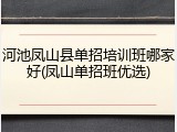 河池凤山县单招培训班哪家好(凤山单招班优选)