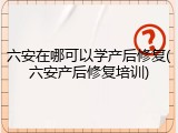 六安在哪可以学产后修复(六安产后修复培训)