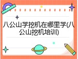 八公山学挖机在哪里学(八公山挖机培训)