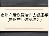 宿州产后恢复培训去哪里学(宿州产后恢复培训)