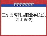 三东力明科技职业学校(东力明职校)