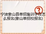 宁波象山县单招集训学校怎么报名(象山单招校报名)