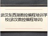 武汉东西湖数控编程培训学校(武汉数控编程培训)