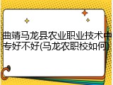 曲靖马龙县农业职业技术中专好不好(马龙农职校如何)