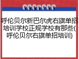 呼伦贝尔新巴尔虎右旗单招培训学校正规学校有那些(呼伦贝尔右旗单招培训)