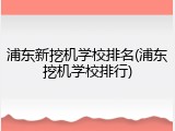 浦东新挖机学校排名(浦东挖机学校排行)