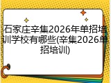 石家庄辛集2026年单招培训学校有哪些(辛集2026单招培训)