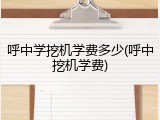 呼中学挖机学费多少(呼中挖机学费)