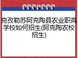 克孜勒苏阿克陶县农业职高学校如何招生(阿克陶农校招生)