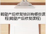 鹤壁产后修复培训有哪些课程(鹤壁产后修复课程)