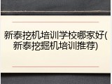 新泰挖机培训学校哪家好(新泰挖掘机培训推荐)