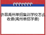许昌禹州单招集训学校怎么收费(禹州单招学费)
