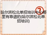 哈尔滨松北单招培训中心哪里有靠谱的(哈尔滨松北单招培训)