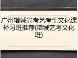 广州增城高考艺考生文化课补习班推荐(增城艺考文化班)