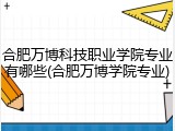 合肥万博科技职业学院专业有哪些(合肥万博学院专业)