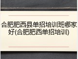 合肥肥西县单招培训班哪家好(合肥肥西单招培训)