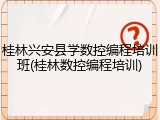 桂林兴安县学数控编程培训班(桂林数控编程培训)