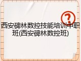 西安碑林数控技能培训中职班(西安碑林数控班)