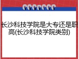 长沙科技学院是大专还是职高(长沙科技学院类别)