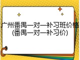 广州番禺一对一补习班价格(番禺一对一补习价)