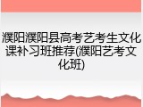 濮阳濮阳县高考艺考生文化课补习班推荐(濮阳艺考文化班)