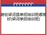 德宏梁河县单招培训班哪家好(梁河单招培训班)