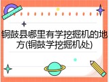 铜鼓县哪里有学挖掘机的地方(铜鼓学挖掘机处)
