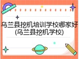 乌兰县挖机培训学校哪家好(乌兰县挖机学校)