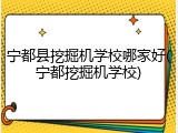 宁都县挖掘机学校哪家好(宁都挖掘机学校)