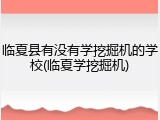 临夏县有没有学挖掘机的学校(临夏学挖掘机)